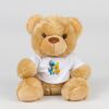 Bear in a t-shirt Thumbnail
